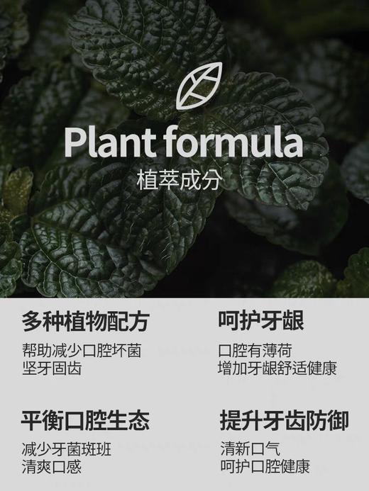 韩国爱茉莉麦迪安93牙膏抗敏感洁白口气清新去牙渍牙垢黄薄荷成人 商品图6