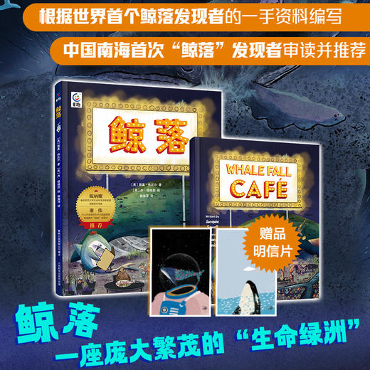 【童趣】鲸落中文绘本精装+英文小书平装（科普绘本） 商品图0