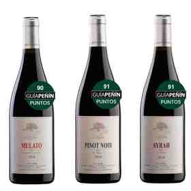 欧洲大陆最高海拔葡萄园——西班牙穆尔西亚产区伊纳扎瑞斯酒庄INAZARES单一园红葡萄酒750ml