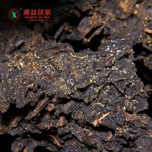 安化黑茶 | 湘益 【2023臻藏版】万里挑一900g 商品图3