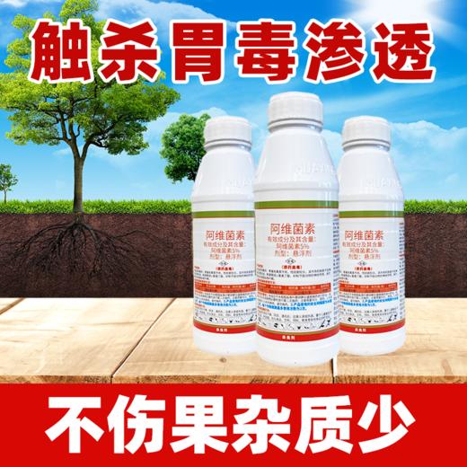 5%阿维菌素茵素 蔬菜花卉果树水稻通用稻纵卷叶螟专用农药杀虫剂 商品图1