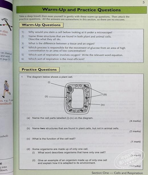 预售 CGP KS3 Complete Revision & Practice Higher KS3中学高级课程练习2册 科学+数学 11-13岁 商品图5