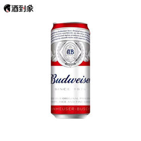 百威啤酒听装500ml