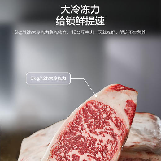 海尔（Haier）冰箱 BCD-481WGHSSEDS9U1 商品图4