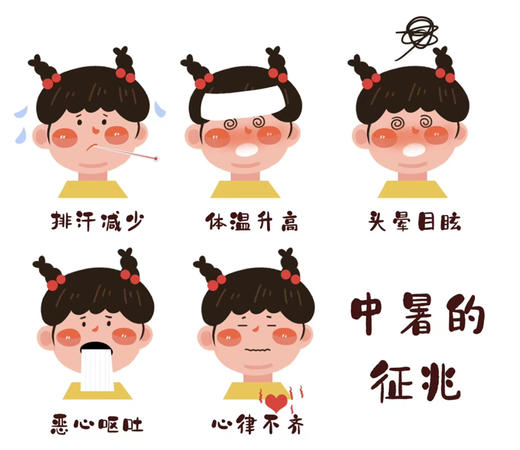 周三配送！抓住一年黄金补阳时间“三伏天”是一年之中温度最高、湿气最重的闷热天气，人难免会遭受湿气的侵袭，感到油腻，乏力，虚胖。此时，人体的阳气运行旺盛，是去shi排寒的好时节！0添加三伏茶，50包/袋 商品图12