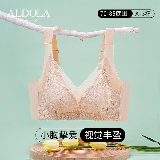 雅黛丽内衣女小胸聚拢显大莫代尔文胸无钢圈收副乳防下垂美背胸罩 商品图0