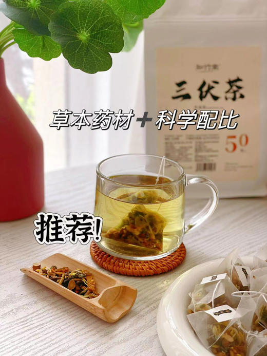 周三配送！抓住一年黄金补阳时间“三伏天”是一年之中温度最高、湿气最重的闷热天气，人难免会遭受湿气的侵袭，感到油腻，乏力，虚胖。此时，人体的阳气运行旺盛，是去shi排寒的好时节！0添加三伏茶，50包/袋 商品图7