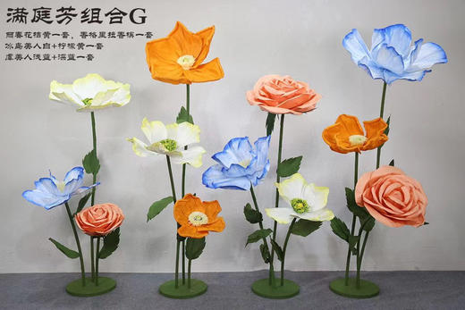 满庭芳组合（运费自理） 商品图6