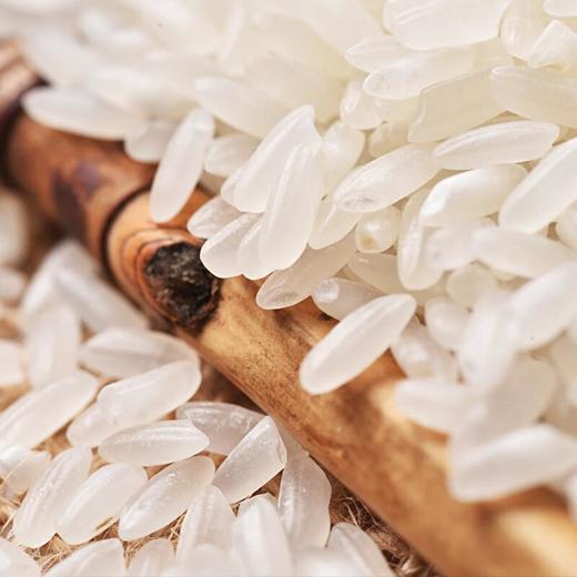 天仁道有机通河大米5kg/袋 商品图2