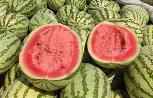 12.8元半个硒砂石缝瓜约10斤（超重按1.28元/斤补差价） 商品图0