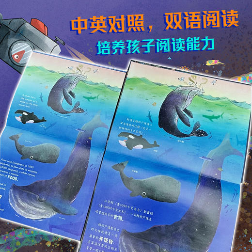【童趣】鲸落中文绘本精装+英文小书平装（科普绘本） 商品图2