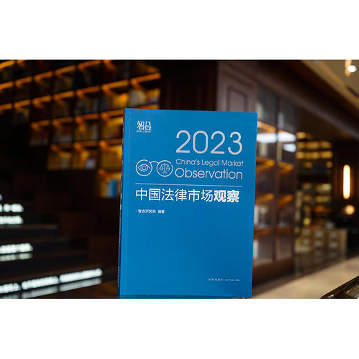 中国法律市场观察（2023）  智合研究院编著 商品图1