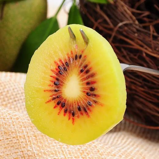 【四川蒲江 • 红心猕猴桃】 新鲜采摘 果肉细嫩 香甜多汁 鲜嫩甜 营养丰富，健康美味 商品图1