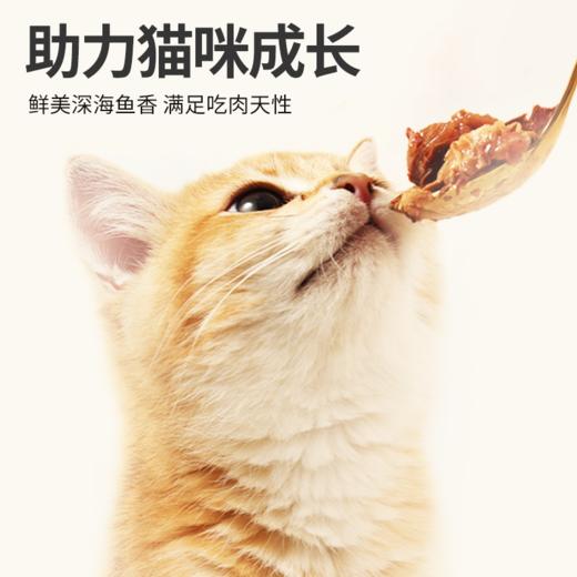 溜达猫猫咪红肉罐头 375g*6罐箱装 2种口味 低脂高蛋白 补水零食罐 商品图4