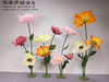 满庭芳组合（运费自理） 商品缩略图0