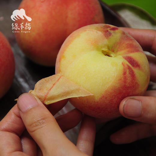 有机水蜜桃 | 合作生产 *Eco-Peach | Coproduction 商品图0