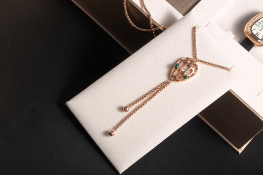 【Maleras伊甸园套装 】蛇灵腕表+项链 自灵蛇元素汲取灵感，以高超设计美学，勾勒出蕴含奇妙元素、无限创意与高超技艺的奇迹世界 商品图2