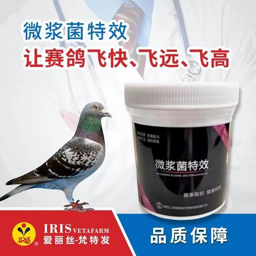 【爱丽丝】微浆菌特效100克 商品图0