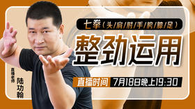 整劲运用