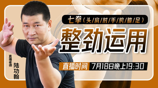 整劲运用 商品图0