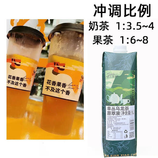 小茶鲜原萃液商用茶原液免泡茶 鸭屎香 单丛乌龙 茉香绿茶 栀子香绿茶 茶原液1L 商品图10