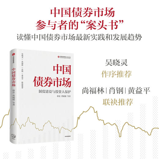 中国债券市场 徐忠 著 经济 商品图0