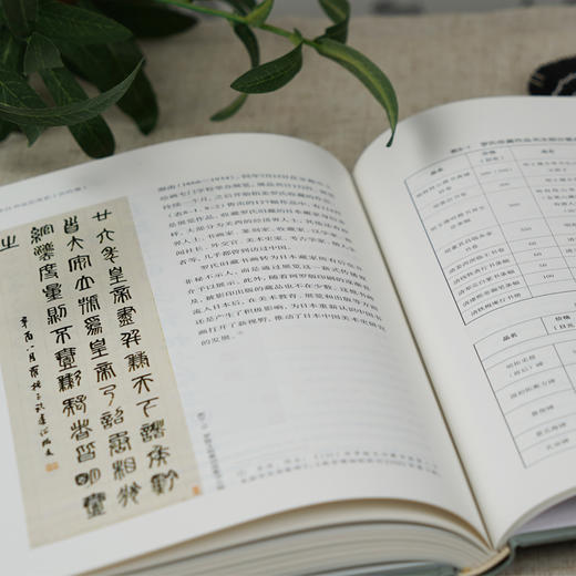 中日书法交流史(古代卷)书法中日郑鸣谦陈小法中日交流史研究者书法爱好者 中国书法对日本古代各个时期书法的影响，以及中日古代书法交流的情况 商品图2