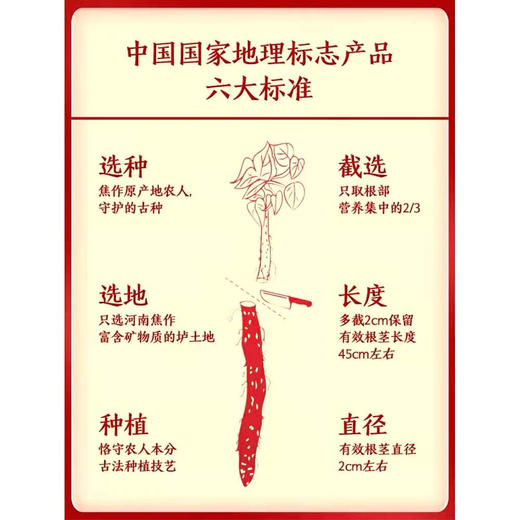 【好邻生活专属】温县垆土铁棍山药·当季采摘，山药味浓郁，粉糯香甜，顺丰京东包邮 商品图3