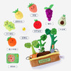【可水洗不褪色的过家家水果树】Jollybaby过家家玩具 我的菜园子仿真蔬菜 婴儿益智启蒙早教玩具 商品缩略图2