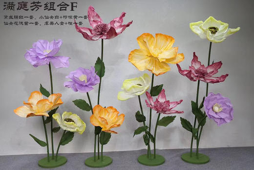 满庭芳组合（运费自理） 商品图5