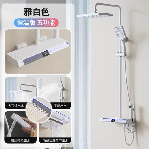 7290飞雨五档腰喷花洒-恒温奶白 商品图0