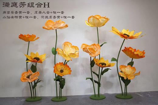 满庭芳组合（运费自理） 商品图7