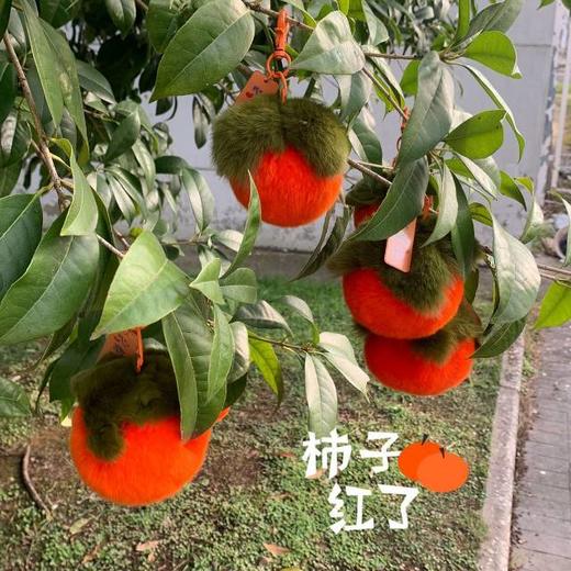【真獭兔毛挂件“好柿发生”】对比很多版本选出来的，品质很好！  纯手工皮草制作 少女心爆棚！🌷 同样的质量要💰100＋而我们只要💰29包邮 今年秋冬暖心的伴手礼来啰~ 商品图11