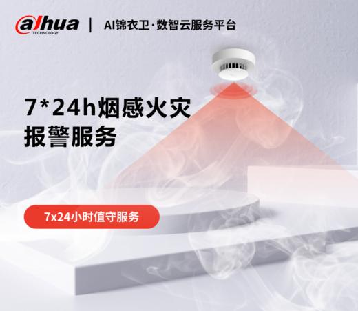 智慧烟感远程联网服务 商品图0