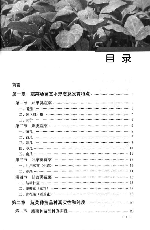 蔬菜种苗质量识别评价一本通【中国农业出版社官方正版】 商品图1