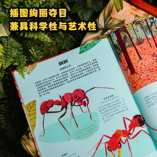 有毒动物界的剧毒生物 6-9岁 伊科·罗梅罗·莱耶斯 著 科普百科 商品图1