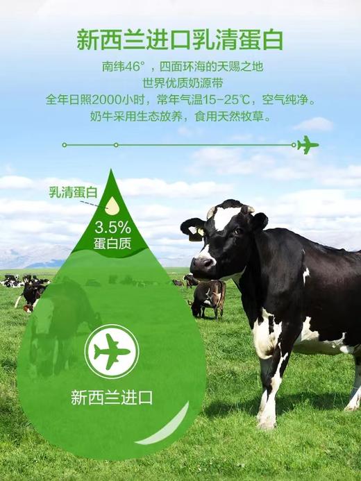 【618会员提前购】汤臣倍健（乳清蛋白粉）增肌健身塑形 高乳清蛋白含量 75%乳清蛋白 增肌塑形 商品图3