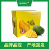 PAGODA百果园 凯特芒果（大果）6斤精品礼盒装（500g-1000g） 商品缩略图4