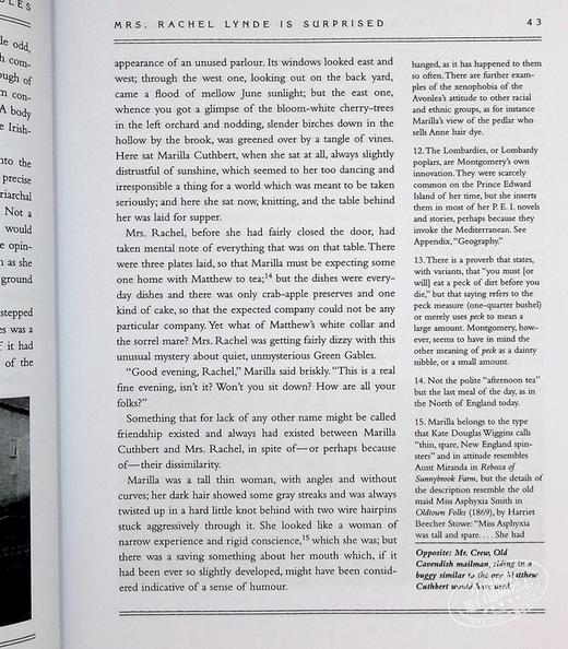 【中商原版】绿山墙的安妮注释版 The Annotated Anne of Green Gables 英文原版 L M Montgomery 大师 经典 文学 商品图6