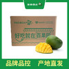 PAGODA百果园 凯特芒果（大果）3斤装（单果550g+） 商品缩略图4