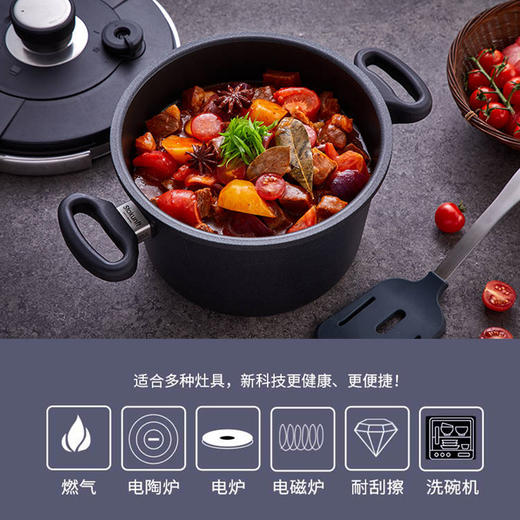 【样品特惠】德国进口思坦库4.5L高压锅(双盖) 商品图1