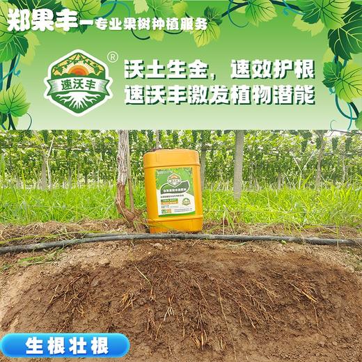 速沃丰生根壮根海藻氨基酸肥 商品图2