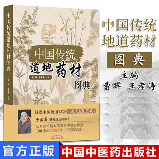中国传统道地药材图典【曹晖、王孝涛】 商品图2