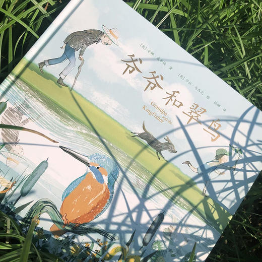 爷爷和翠鸟（人民文学奖得主蒋一谈作序推荐） 商品图3