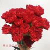 单头康乃馨 红色 红色 20支/扎 颜色深浅略有差异 以实物为准 云南基地发货 （价格已包含包装费用） 运费以实际为准，多退少补。 商品缩略图0