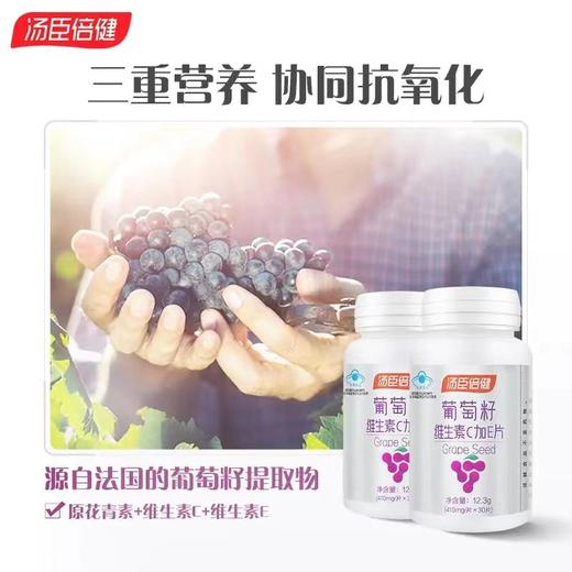 【618会员提前购】汤臣倍健葡萄籽维生素C加E胶囊 花青素抗氧化（410mg*30片/瓶） 商品图1