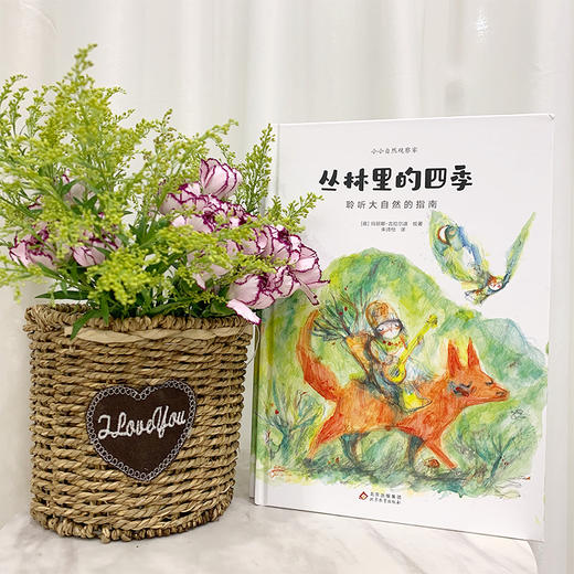 自然科普类绘本：丛林里的四季+一粒种子中的世界 商品图6