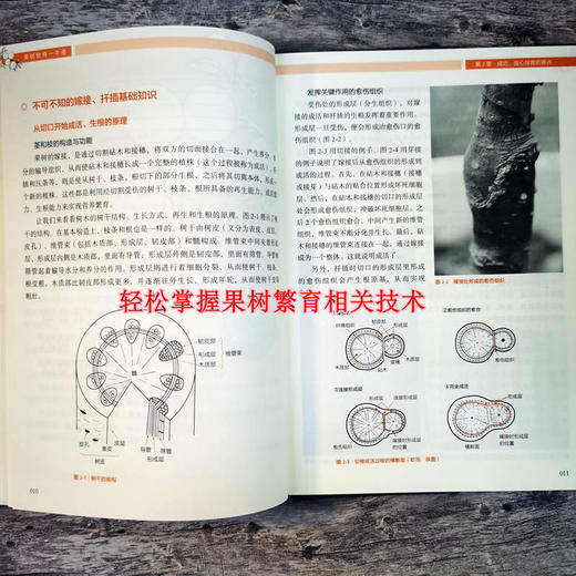 果树繁育一本通 商品图2