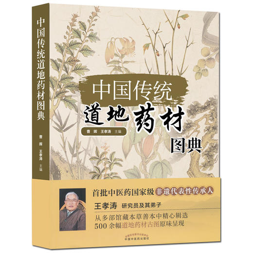 中国传统道地药材图典【曹晖、王孝涛】 商品图3