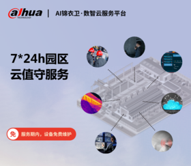 7*24h园区云值守服务